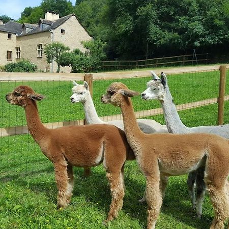 La Ferme Des Andes - Gite L'Atelier Apartment Quins Luaran gambar