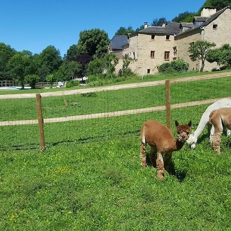 La Ferme Des Andes - Gite L'Atelier Apartment Quins Luaran gambar