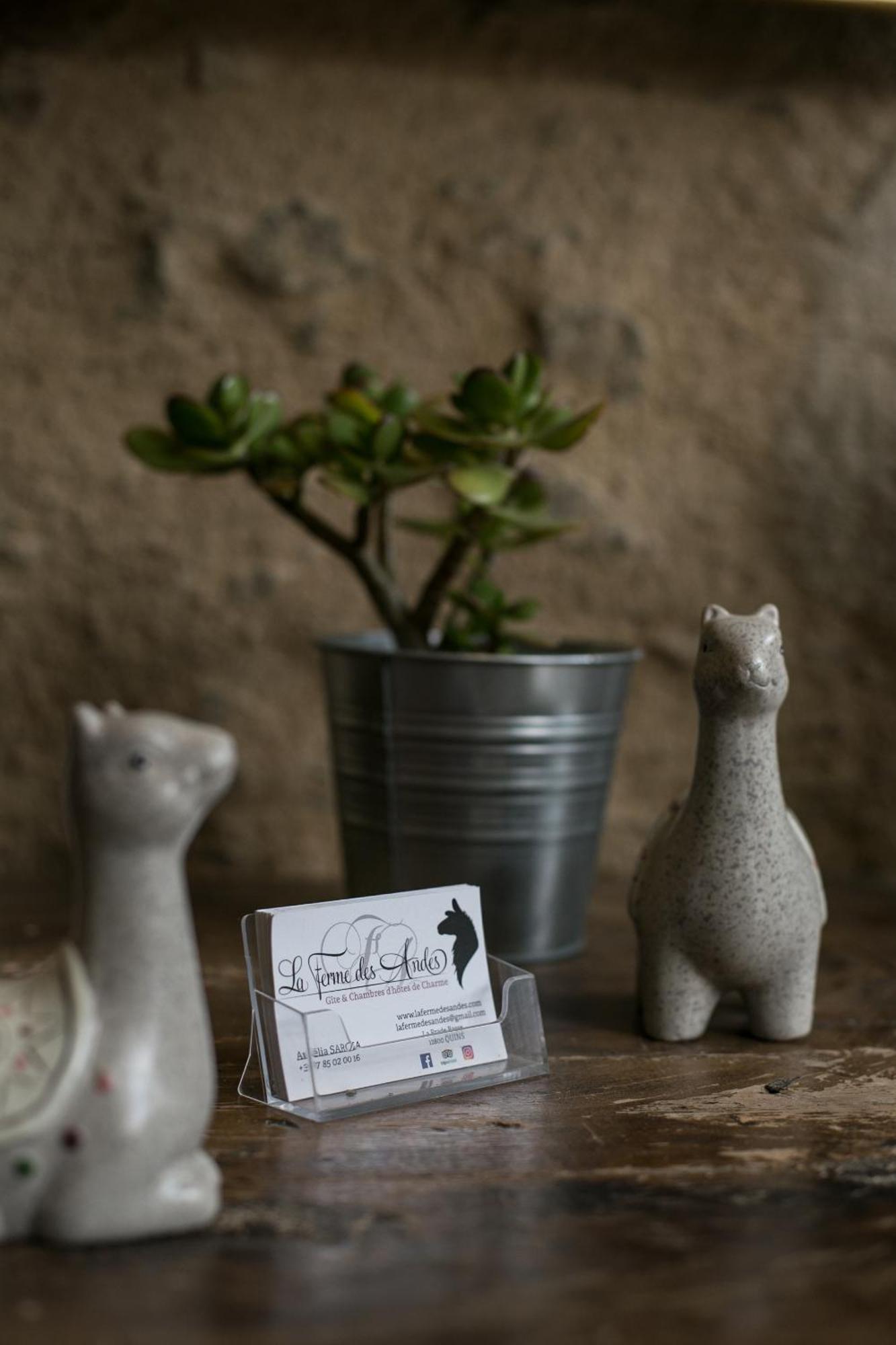 La Ferme Des Andes - Gite L'Atelier Quins Luaran gambar