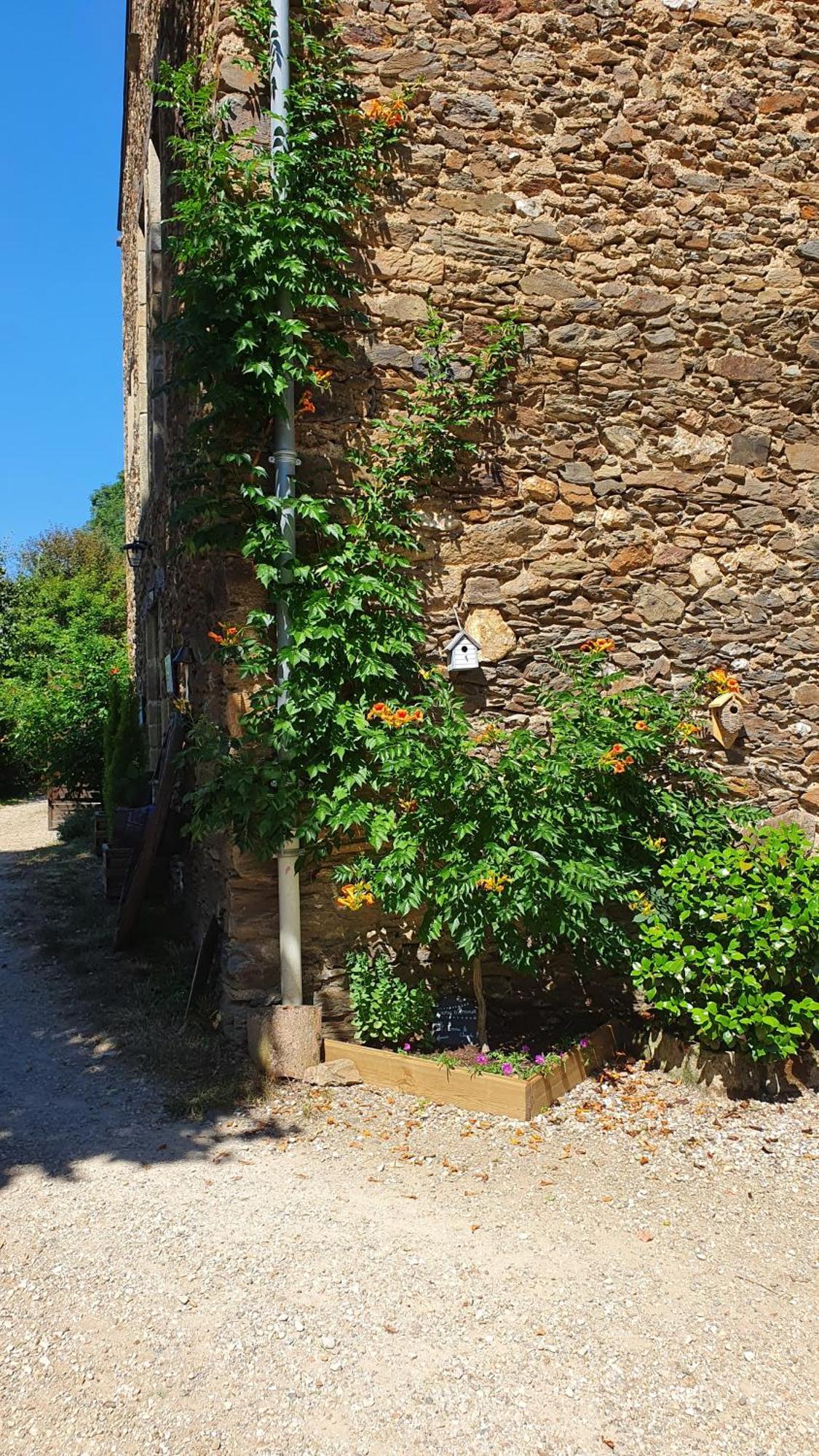 La Ferme Des Andes - Gite L'Atelier Quins Luaran gambar