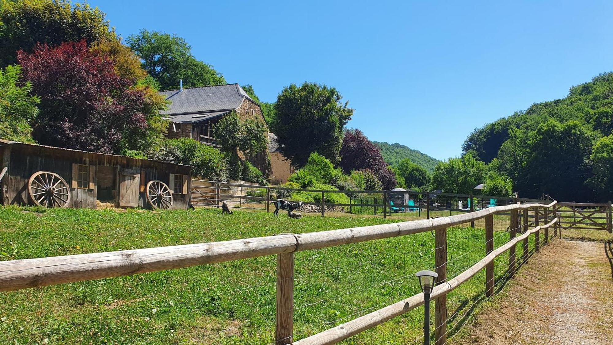La Ferme Des Andes - Gite L'Atelier Quins Luaran gambar