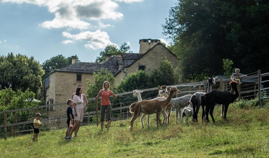La Ferme Des Andes - Gite L'Atelier Quins Luaran gambar