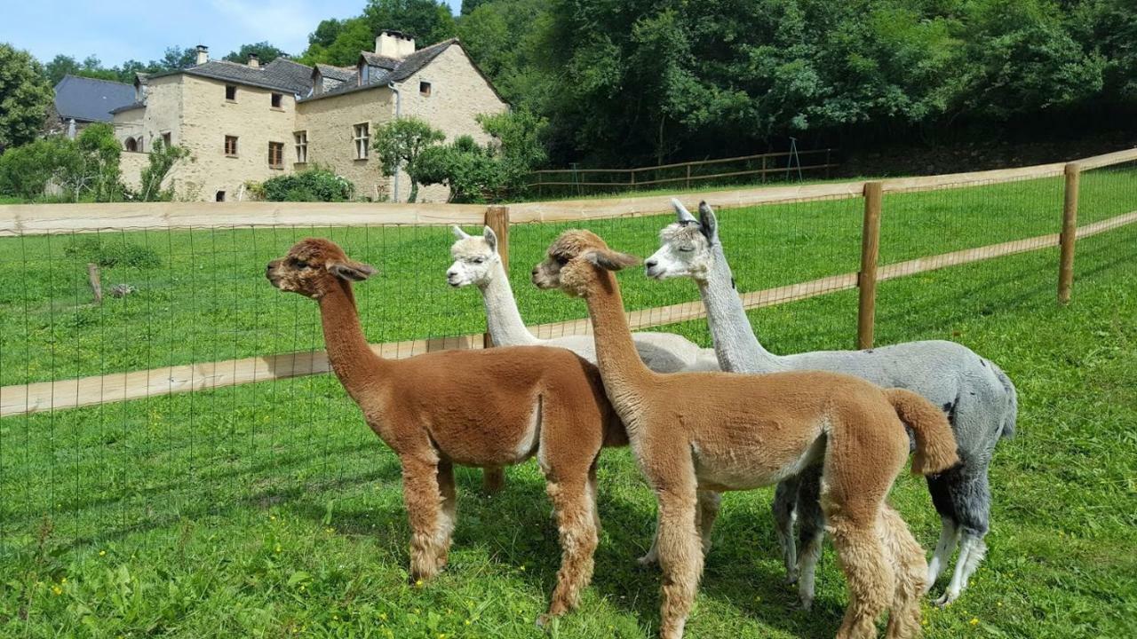 La Ferme Des Andes - Gite L'Atelier Quins Luaran gambar