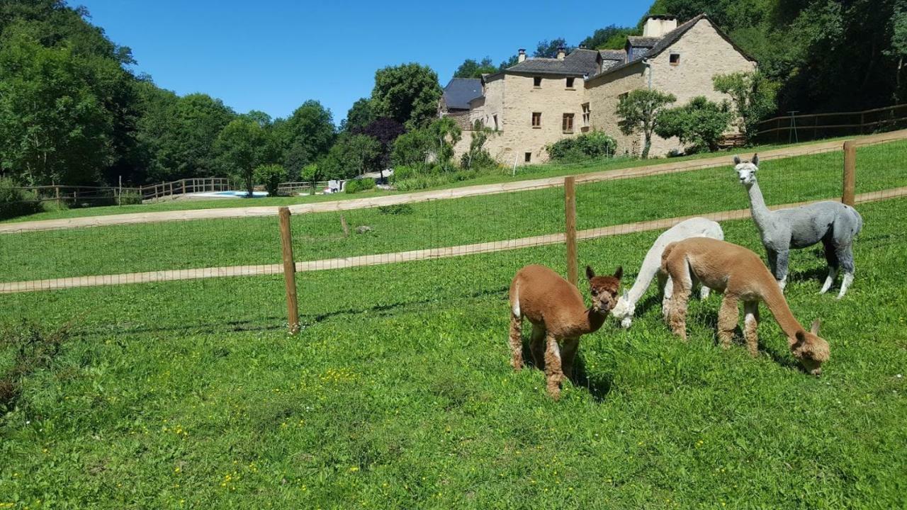 La Ferme Des Andes - Gite L'Atelier Apartment Quins Luaran gambar