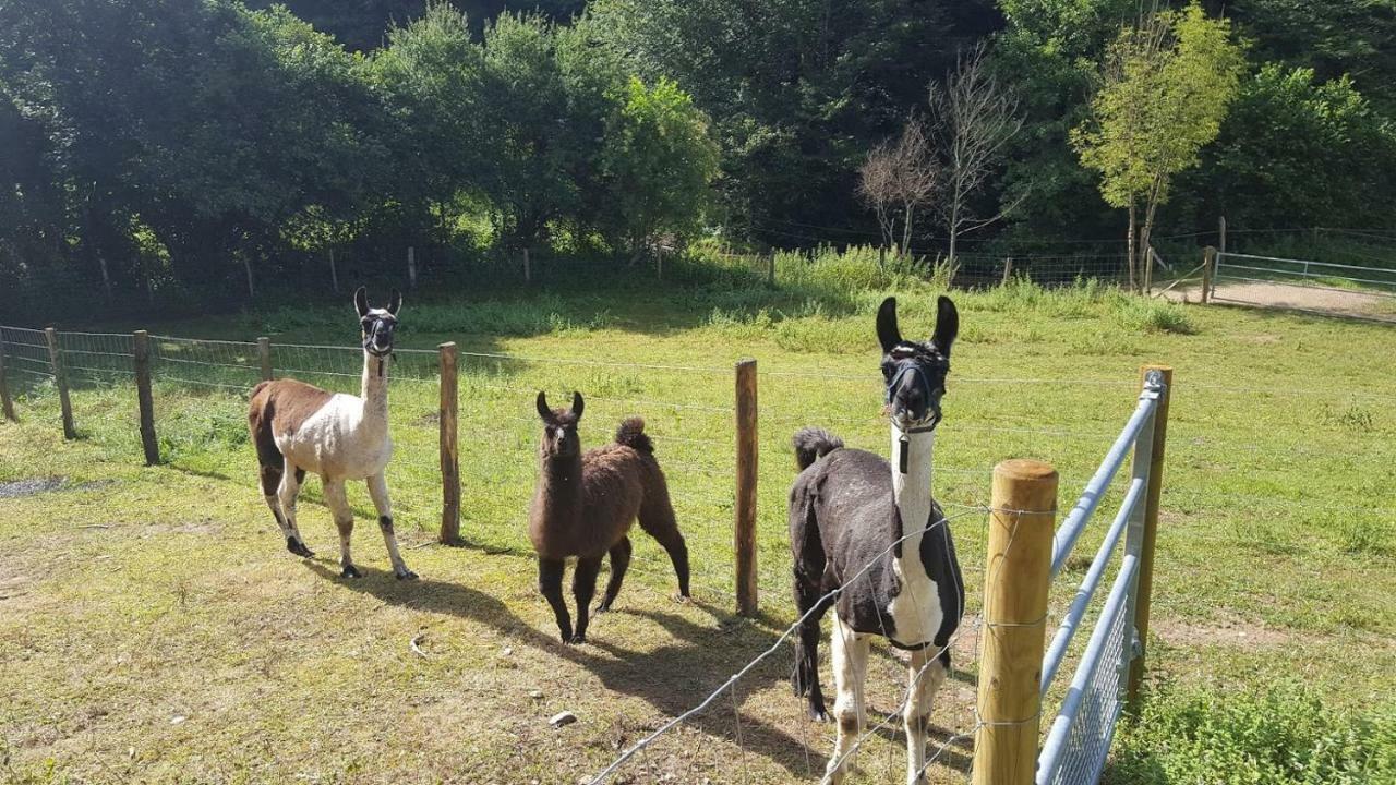 La Ferme Des Andes - Gite L'Atelier Quins Luaran gambar