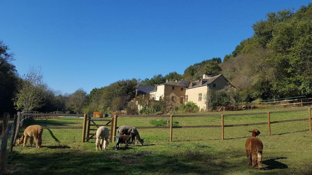 La Ferme Des Andes - Gite L'Atelier Apartment Quins Luaran gambar