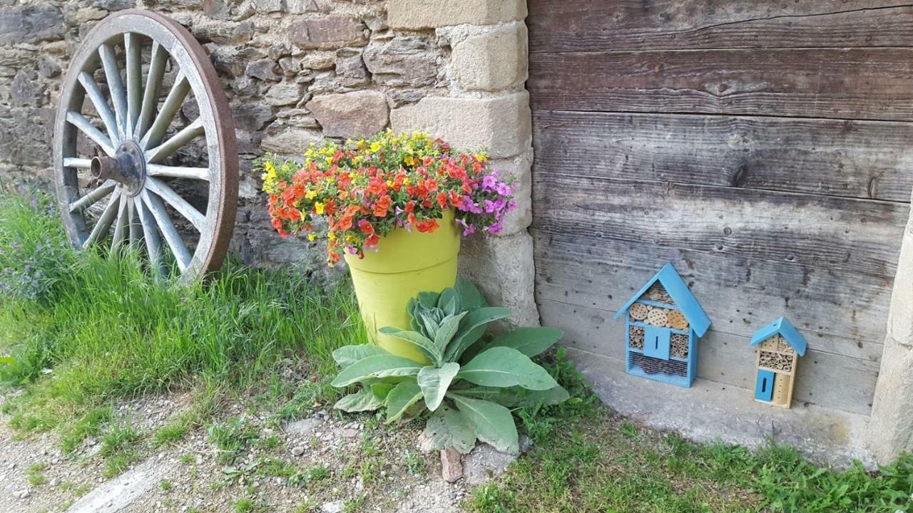 La Ferme Des Andes - Gite L'Atelier Apartment Quins Luaran gambar